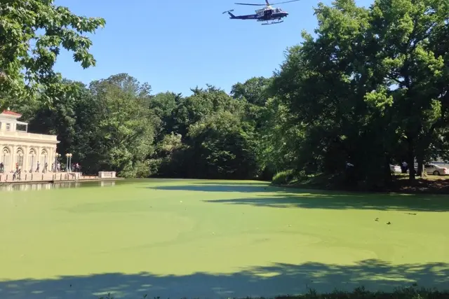A police helicopter over Prospect Park Lake